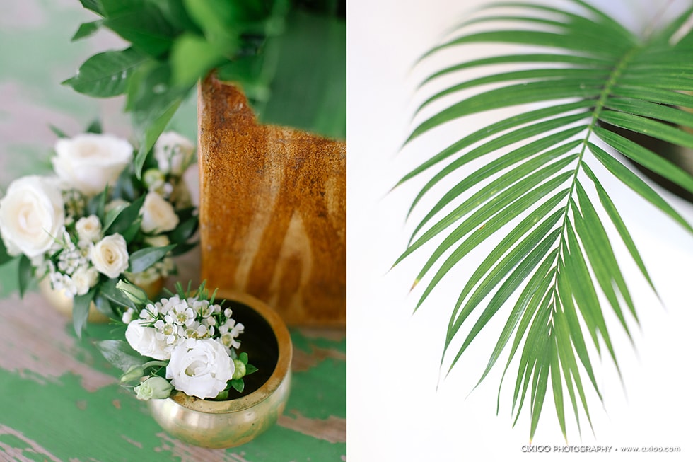 Axioo: The Infinite Garden of Love